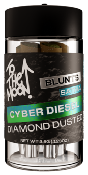 Cyber Diesel